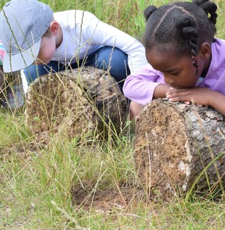 Lakelands Primary School's wonderful 'Sapling Scho...